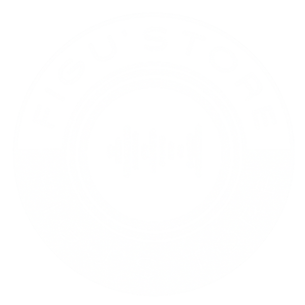 FIGU STORE